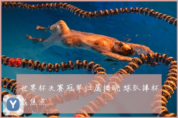 世界杯决赛冠军归属揭晓 球队捧杯成焦点