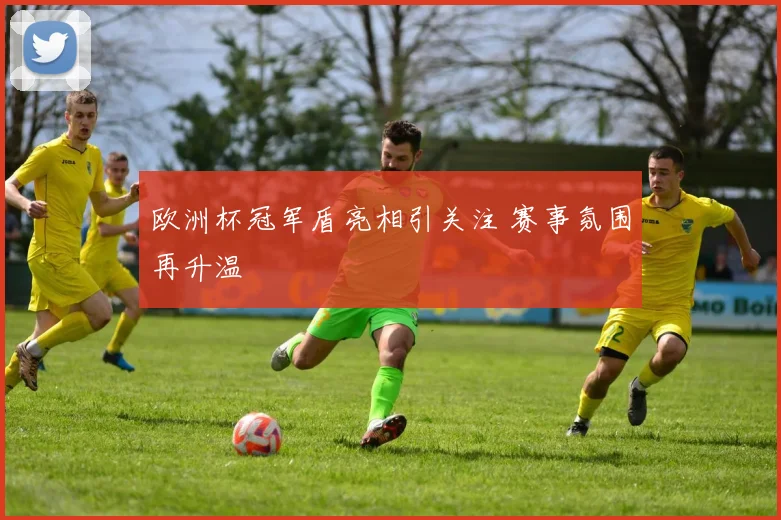 欧洲杯冠军盾亮相引关注 赛事氛围再升温