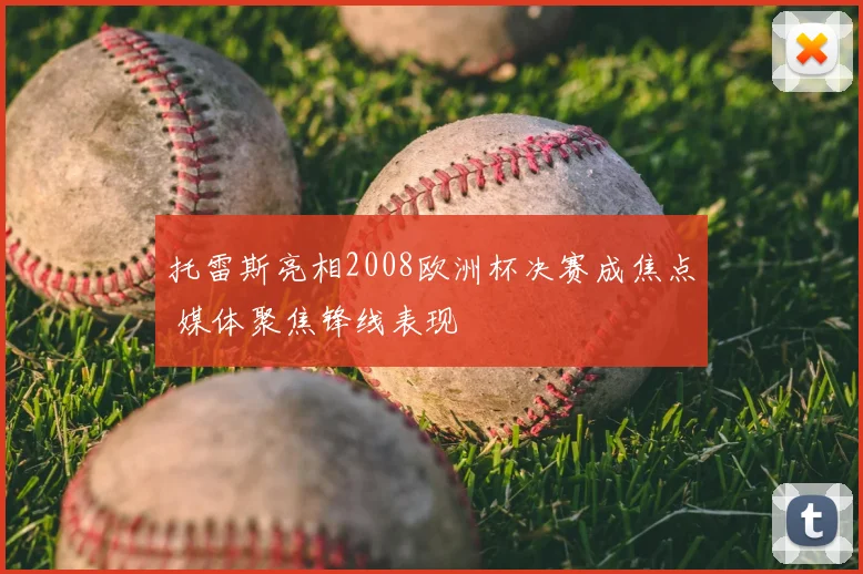 托雷斯亮相2008欧洲杯决赛成焦点 媒体聚焦锋线表现