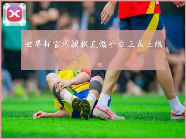 世界杯官方授权直播平台正式上线