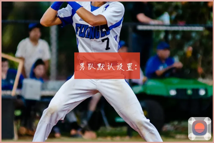 男队默认设置：