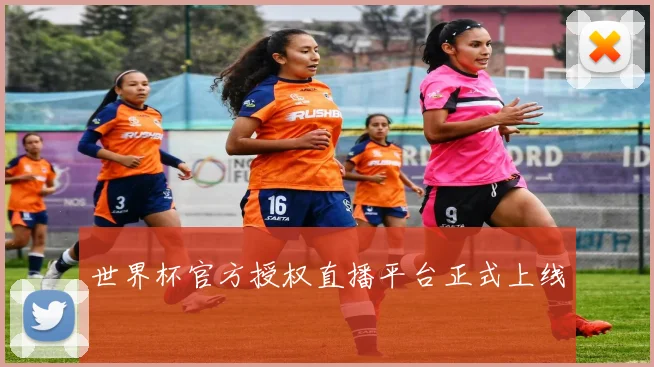 世界杯官方授权直播平台正式上线