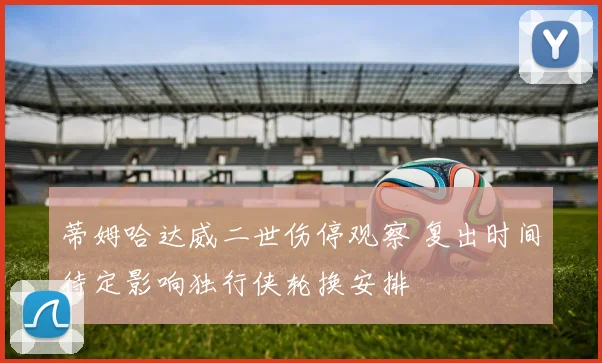 蒂姆哈达威二世伤停观察 复出时间待定影响独行侠轮换安排