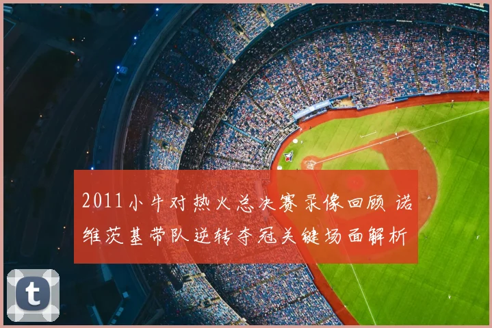 2011小牛对热火总决赛录像回顾 诺维茨基带队逆转夺冠关键场面解析