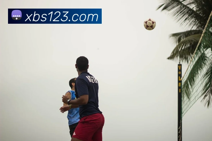 多媒体互动体验